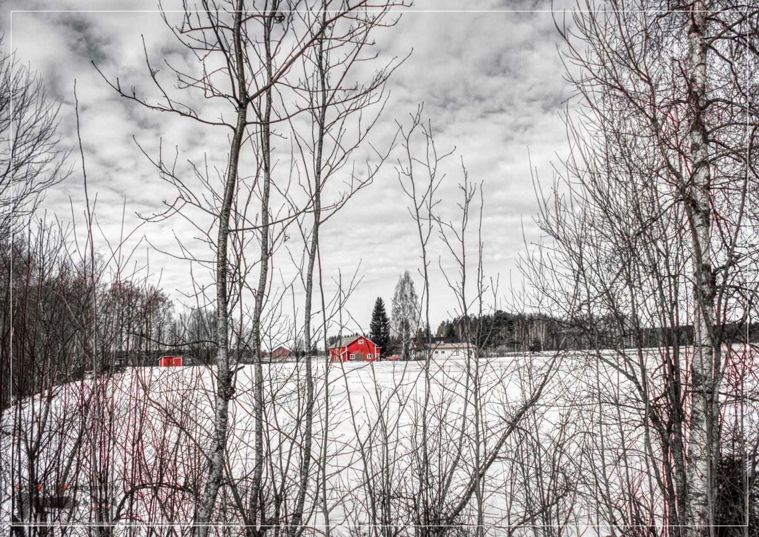 Winter landscape in the Eurajoki region near the Finnish nuclear power plants Olkiluoto 1 - 3