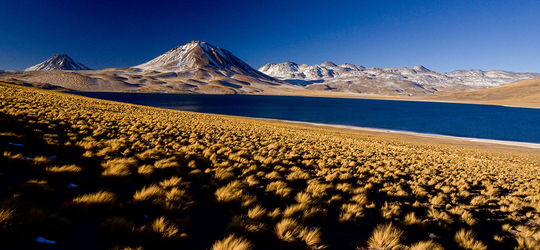 Laguna Miscanti im chilenischen Altiplano